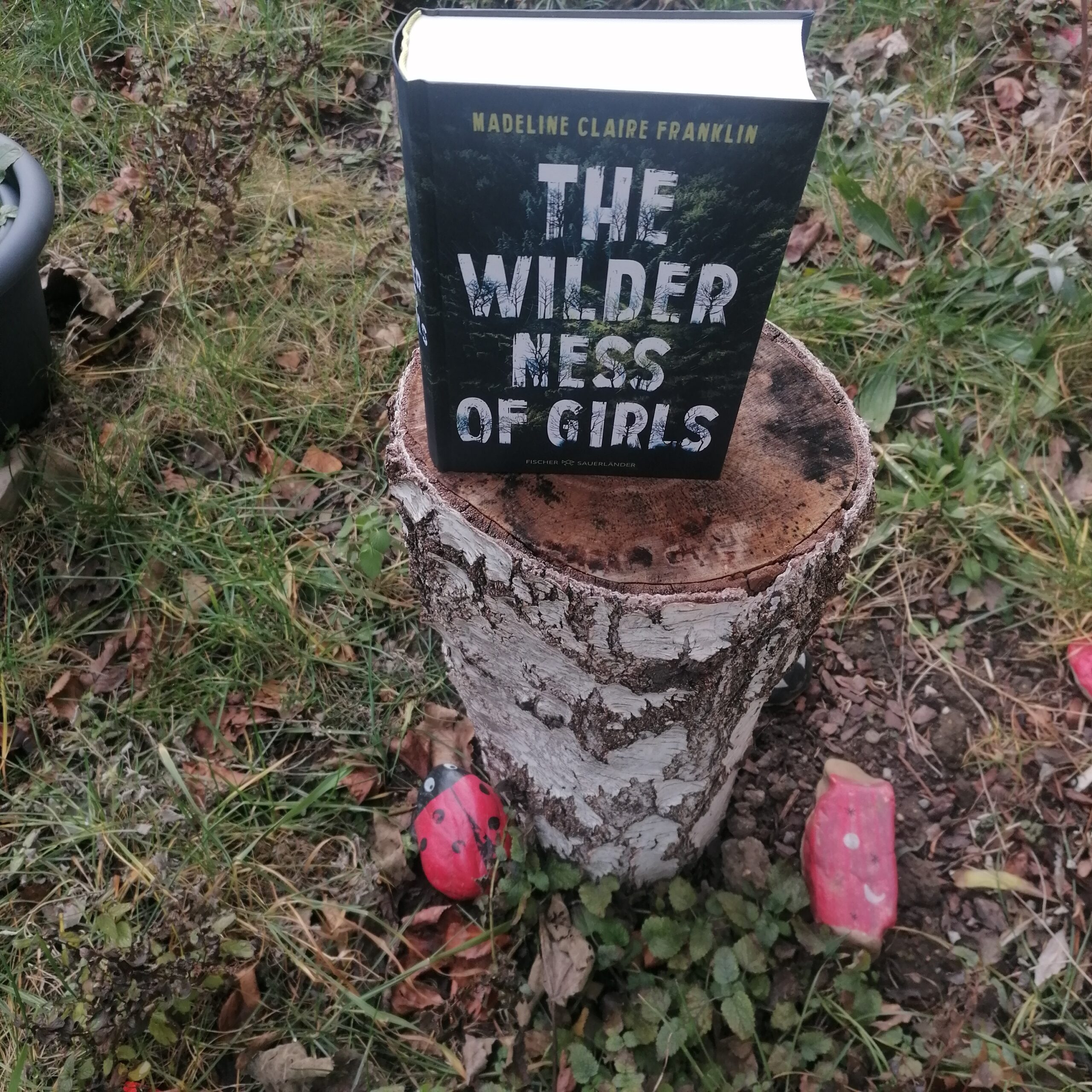 Wilderness of Girls