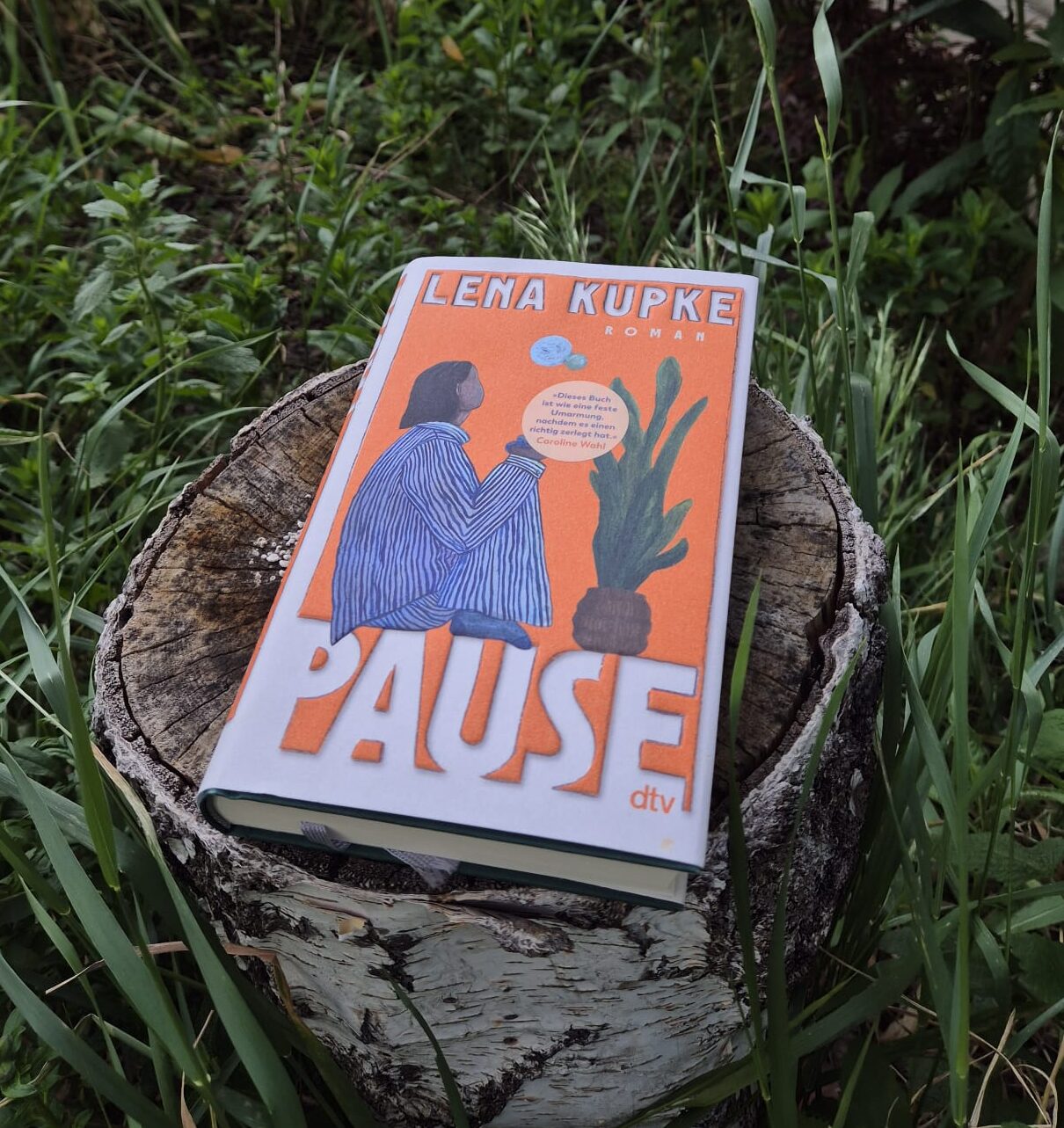 Evelyn empfiehlt – Pause