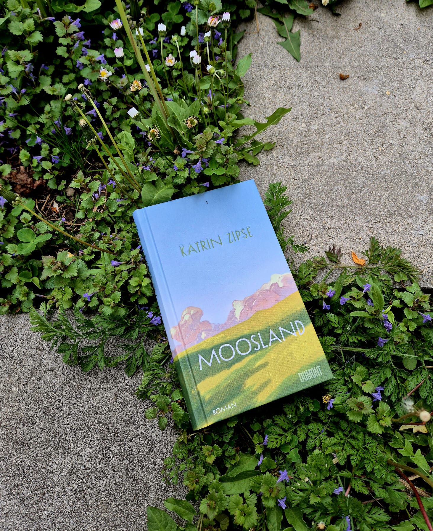 Johannes empfiehtl – Moosland